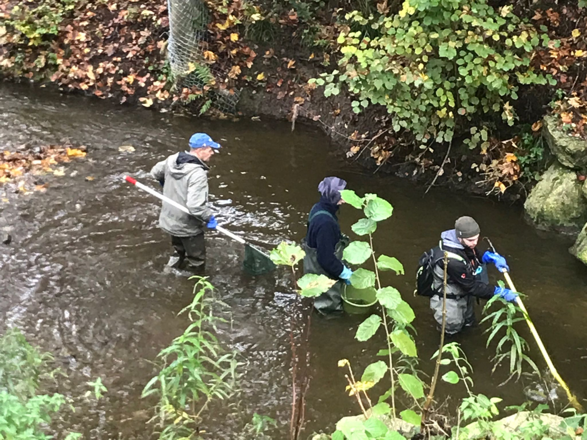Wir tun Gutes und sprechen darüber.